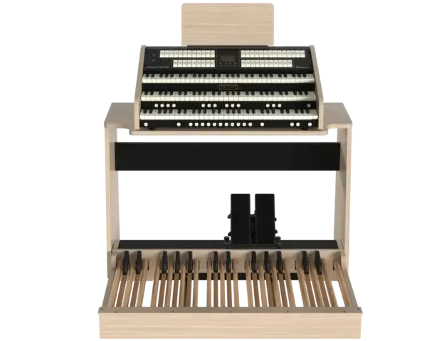 Cantorum Trio Plus - obrazek 2
