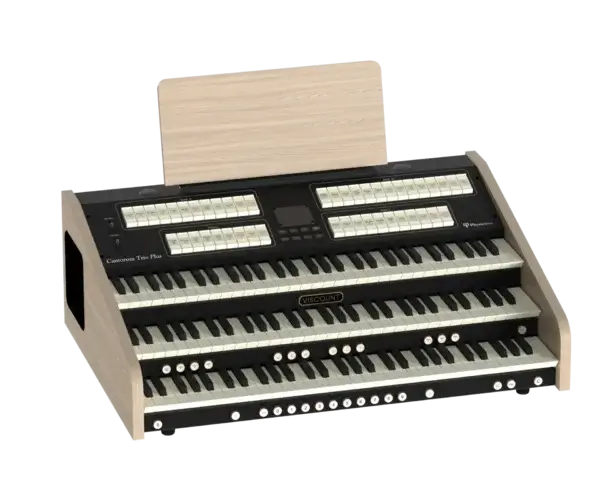 Cantorum Trio Plus - obrazek 5